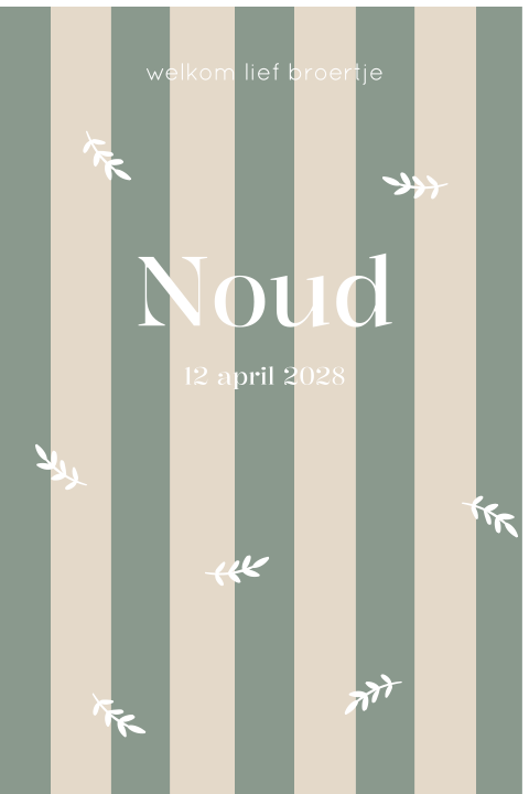 Geboortebord jongen Noud streepjes takjes 