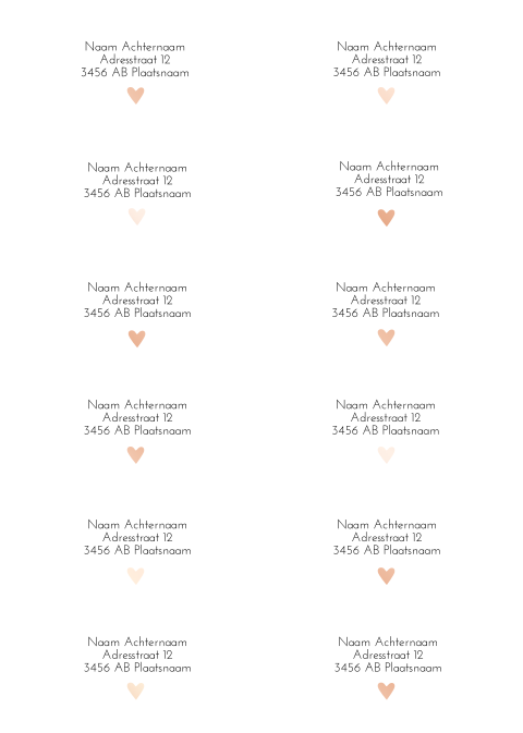 Adresstickers geboortekaartje recht Cato