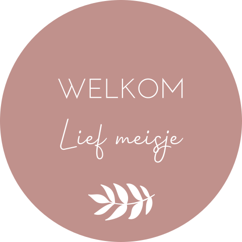 Sluitsticker geboortekaartje Elise roze