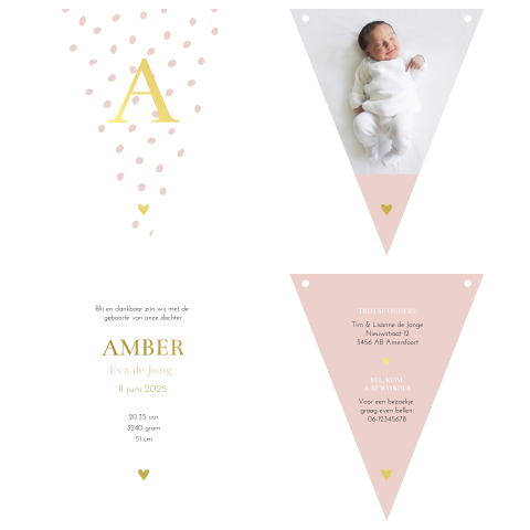 Geboortekaartje vlaggetjes meisje met foto en goudfolie