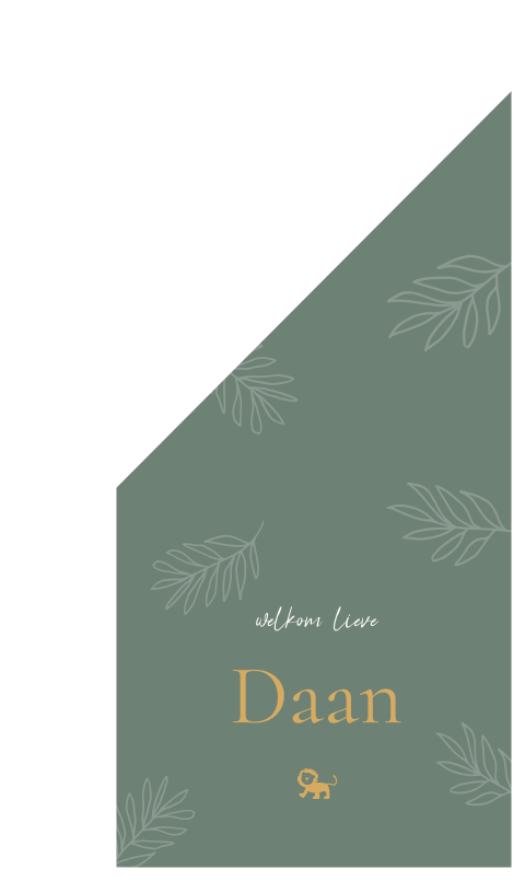 Geboortevlag klein geboortekaartje Daan groen goud takjes