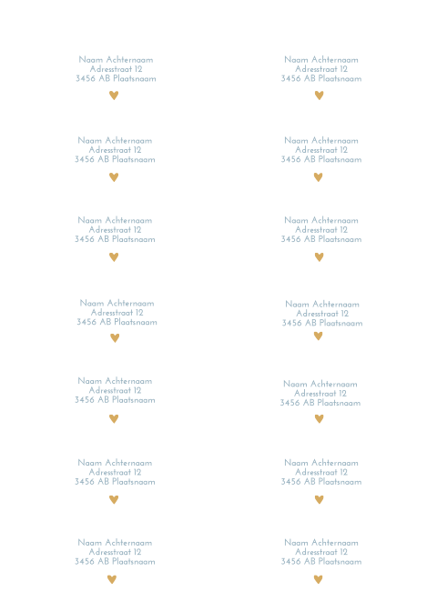 Adresstickers geboortekaartje rond Lucas kalkpapier