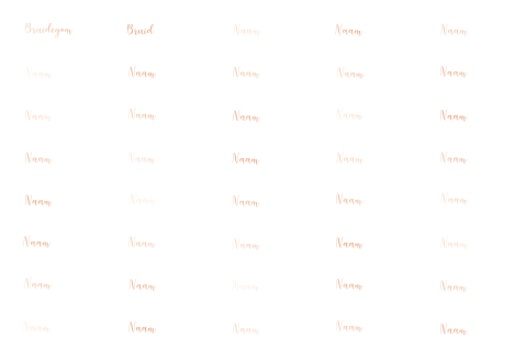 NAAMKAARTJES LABELS ROSEFOLIE - 40 STUKS 8X3 CM