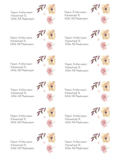 Adresstickers geboortekaartje recht Lauri