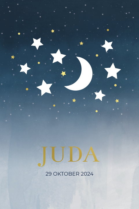 Geboortekaartje jongen stans maan & sterren + goudfolie