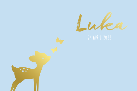Lichtblauw geboortekaartje jongen hertje vlinders goudfolie