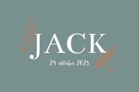 Tuinbord geboortekaartje Jack groen takjes