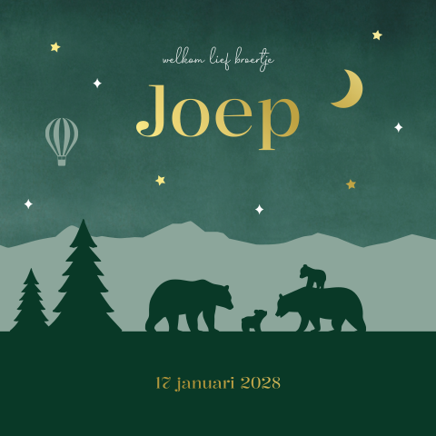 Geboortekaartje jongen beren familie groen