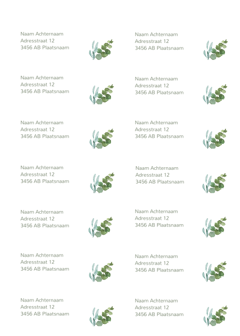 Adresstickers trouwkaart rond Botanical Leaves