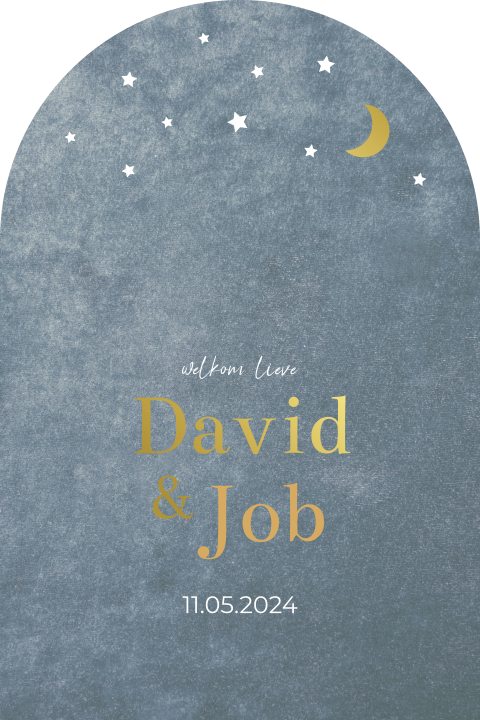 Geboortekaartje tweeling boogvorm velvet look met goudfolie