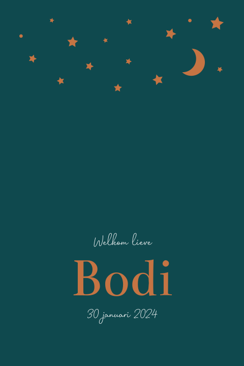 Tuinbord geboortekaartje Bodhi groen sterren