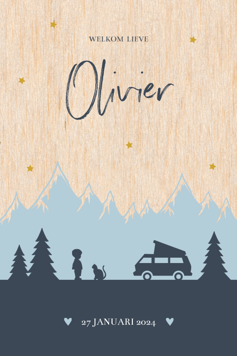 Geboortekaartje jongen met bergen en camper op hout