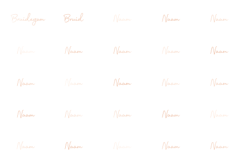 Naamkaartjes wit rosefolie sierlijk - 25 stuks 8x5 cm