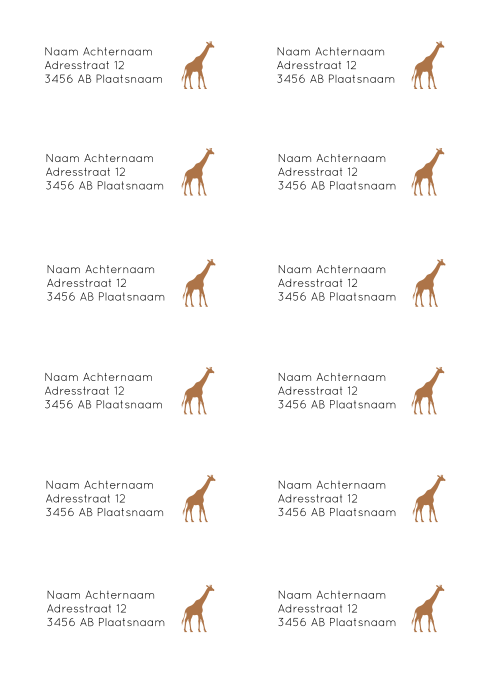 Adresstickers geboortekaartje recht Noud 