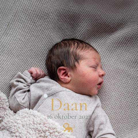 Tegeltje geboortekaartje Daan foto leeuwtje