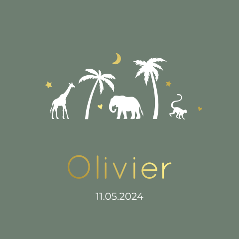 Geboortekaartje jongen - tropische dieren, palmbomen & goudfolie
