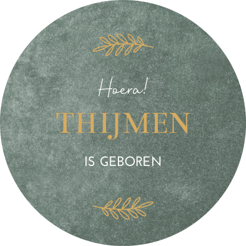 Raamsticker rond 60 cm Thijmen groen velvet look