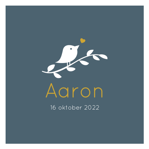 Geboortekaartje jongen donkerblauw met vogeltje