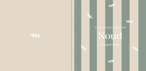 Kraambezoekboek geboortekaartje Noud takjes