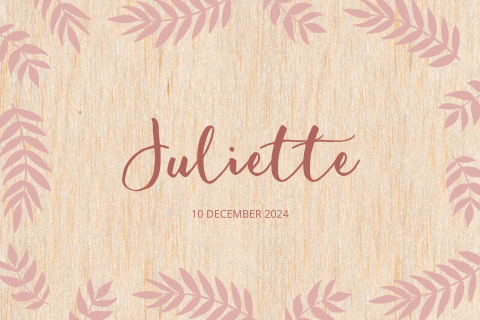 Geboortekaartje meisje botanisch met rand roze takjes op hout