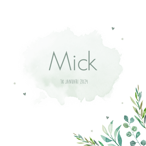 Geboortekaartje jongen watercolor groen takjes botanisch