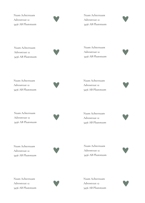 Adresstickers geboortekaartje Milan