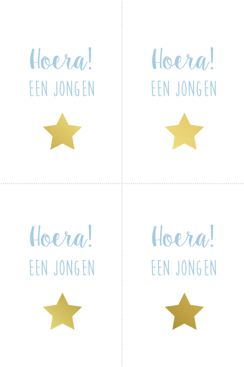 Geboortekaartje labels kaartje hoera jongen goudfolie ster
