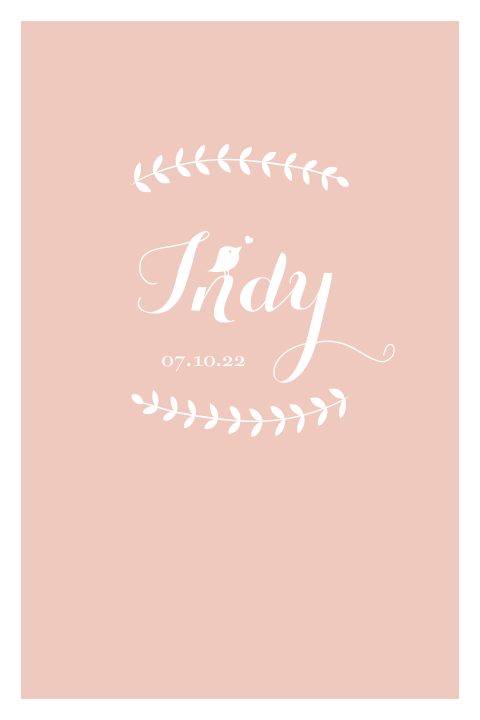 Geboortekaartje meisje peach met takjes en lief vogeltje