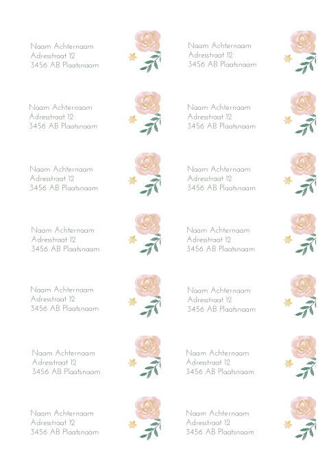 Adresstickers geboortekaartje Madelief