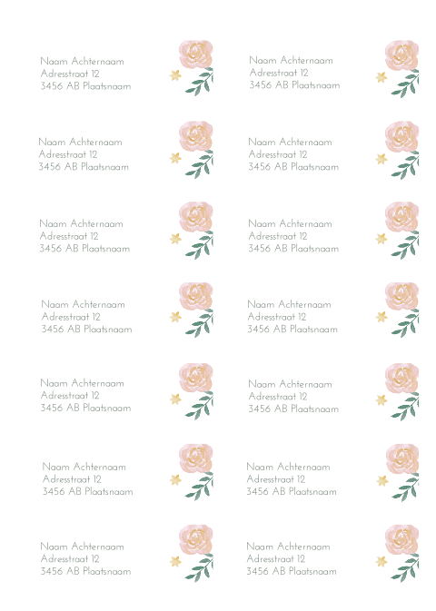 Adresstickers geboortekaartje rond Madelief