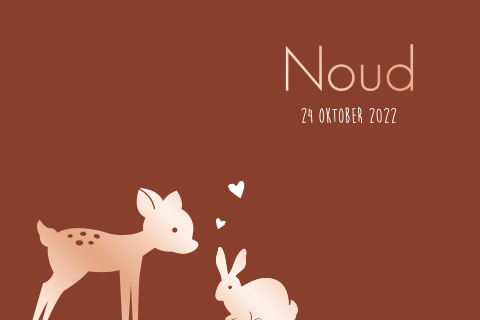 Geboortekaartje jongen rood met bosdieren in rosefolie