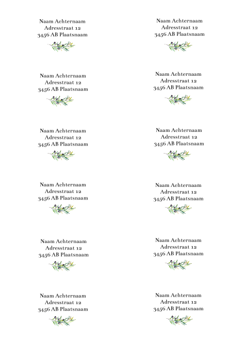 Adresstickers trouwkaart recht Olijftakje