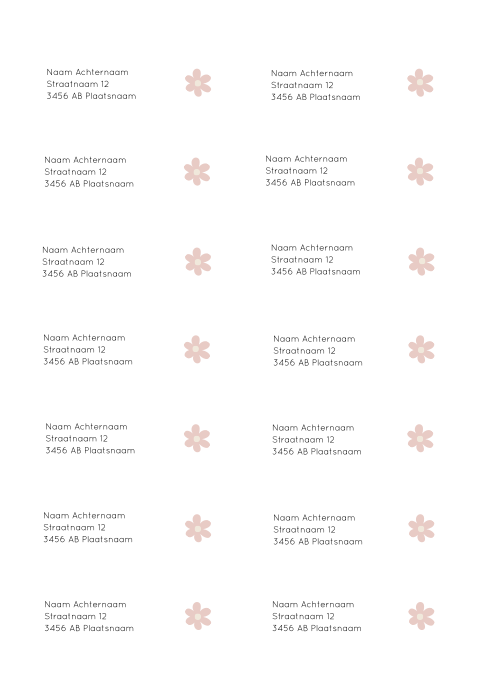 Adresstickers geboortekaartje rond Romee