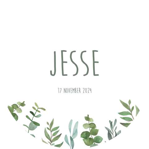 Geboortekaartje jongen stans vorm rond met botanische takjes