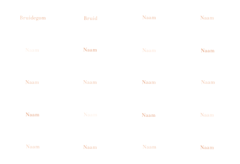 Naamkaartjes bruiloft ovaal rosefolie gaatjes - 20 stuks 8,5x5x5 cm
