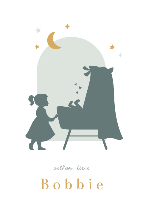 Geboortebord dubbel 60x40 Bobbie wieg silhouet
