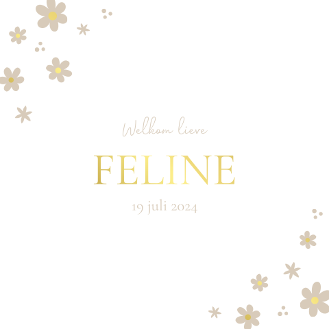 Geboortekaartje meisje neutraal, madelief goudfolie