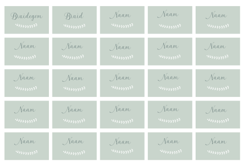 NAAMKAARTJES MINTGROEN BOTANISCH - 25 STUKS 8X5 CM