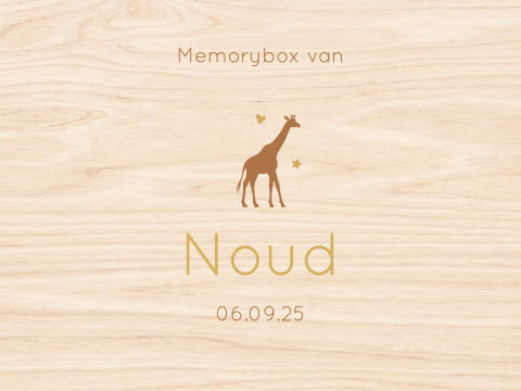 Memory box baby geboortekaartje Noud giraffe