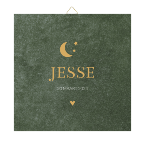 Tegeltje geboortekaartje Jesse velvet groen 