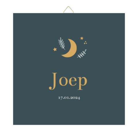 Tegeltje geboortekaartje Joep blauw maan