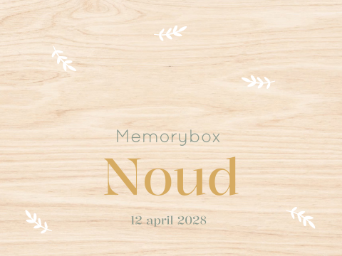 Memory box baby geboortekaartje Noud takjes