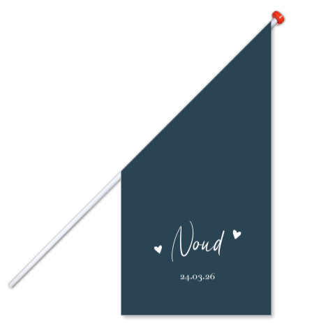 Geboortevlag klein geboortekaartje Noud blauw hartjes