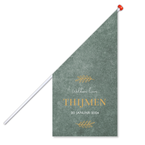 Geboortevlag klein geboortekaartje Thijmen groen velvet look