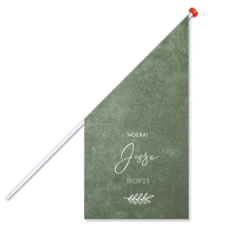 Geboortevlag klein geboortekaartje Jesse groen velvet takje