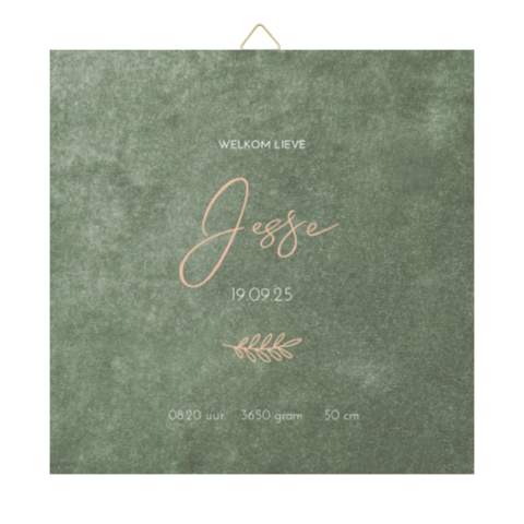 Tegeltje geboortekaartje Jesse groen velvet look