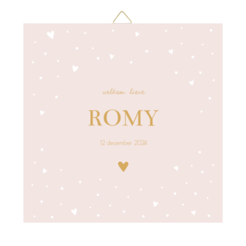 Tegeltje geboortekaartje Romy hartjes