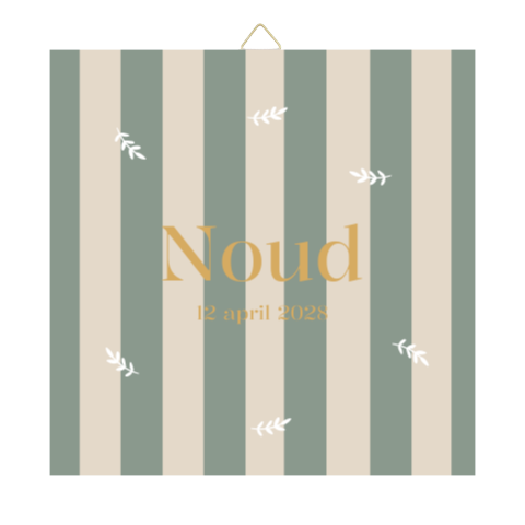 Tegeltje geboortekaartje Noud streepjes takjes