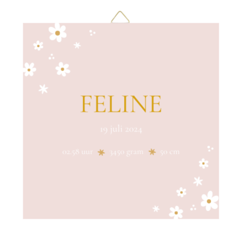 Tegeltje geboortekaartje Feline roze bloemen 