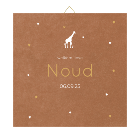 Tegeltje geboortekaartje Noud giraffe